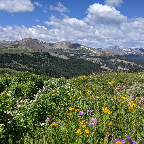 View of Breckenridge Recycling Center - Photo 5