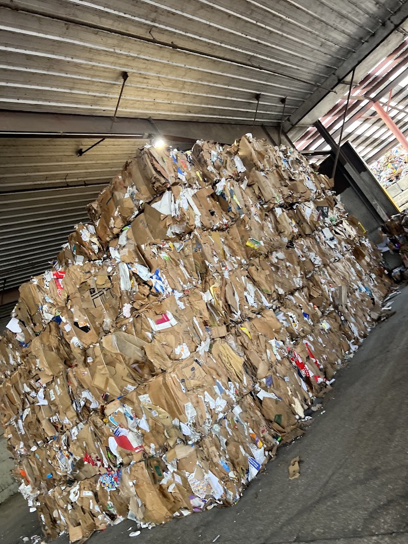 Recycling Services of Florida "RSF" - Clearwater recycling center in Clearwater, FL - View of facility