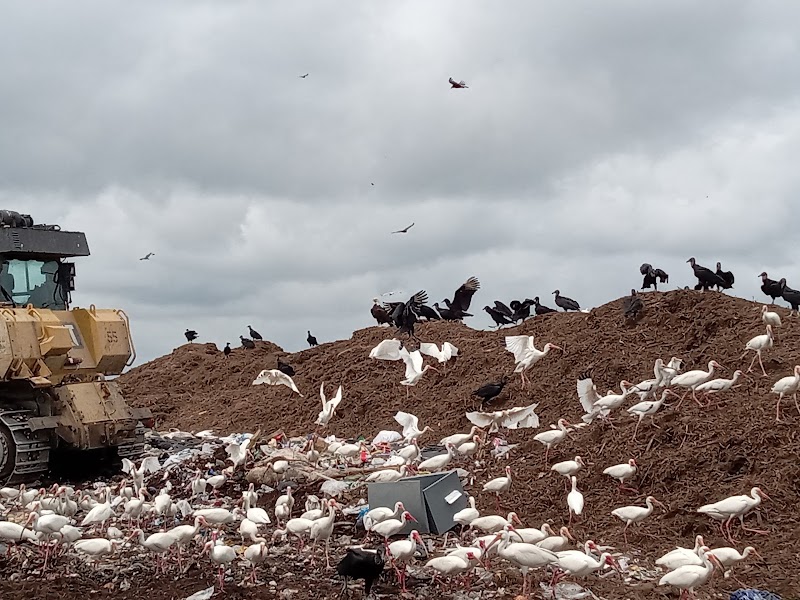 Brevard County Disposal Facility recycling center in Cocoa, FL - View of facility