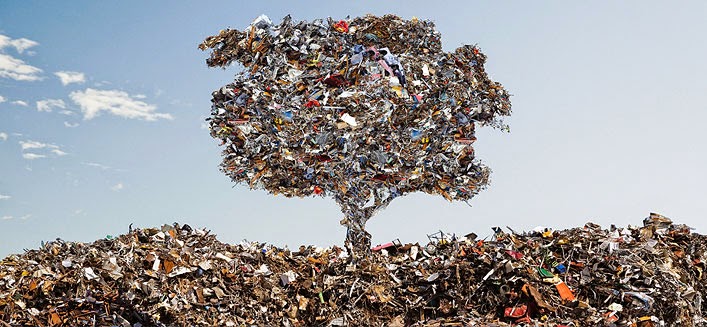 Trademark Metals Recycling recycling center in Gainesville, FL - View of facility